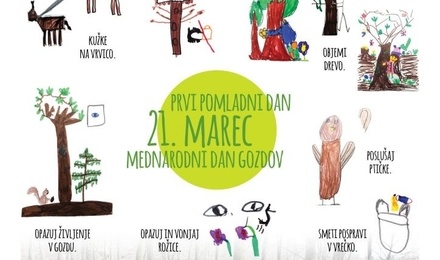 Novice/21.-MAREC-MEDNARODNI-DAN-GOZDOV