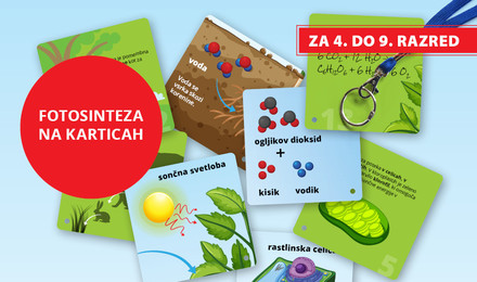 didakticni-pripomocki/fotosinteza_kartice